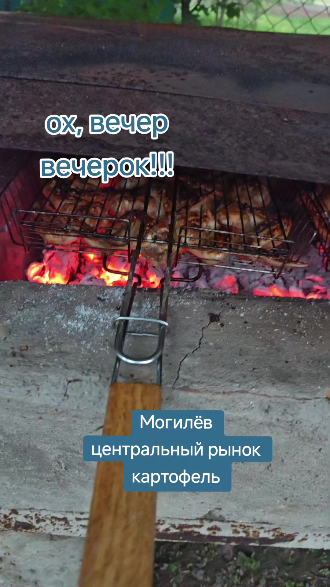 @Картофель Могилёв