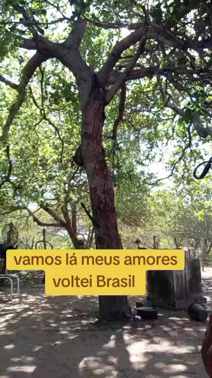 @⚡Sandra Santos OFICIAL ☑️