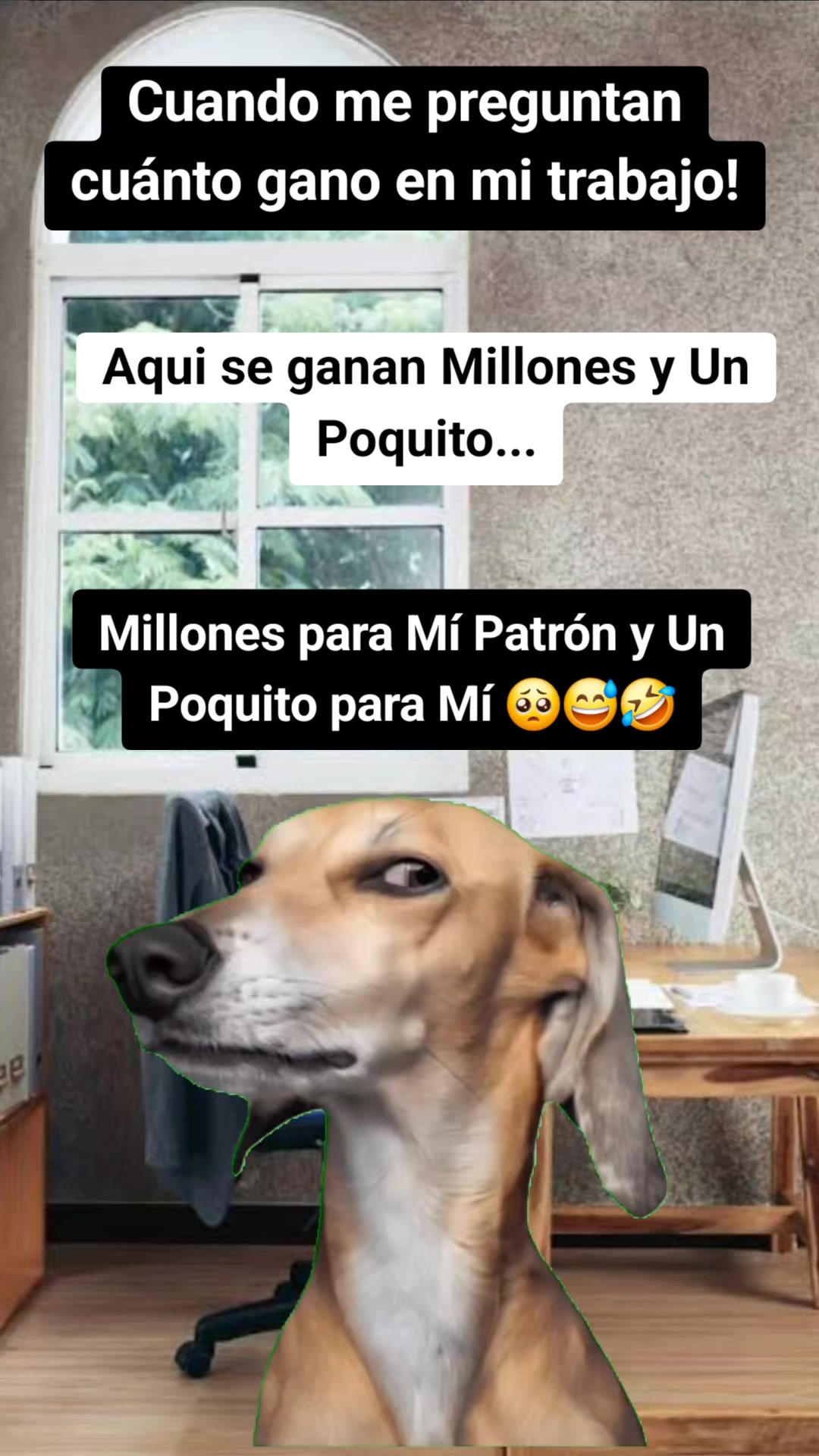 @Andrea Elizaneth
