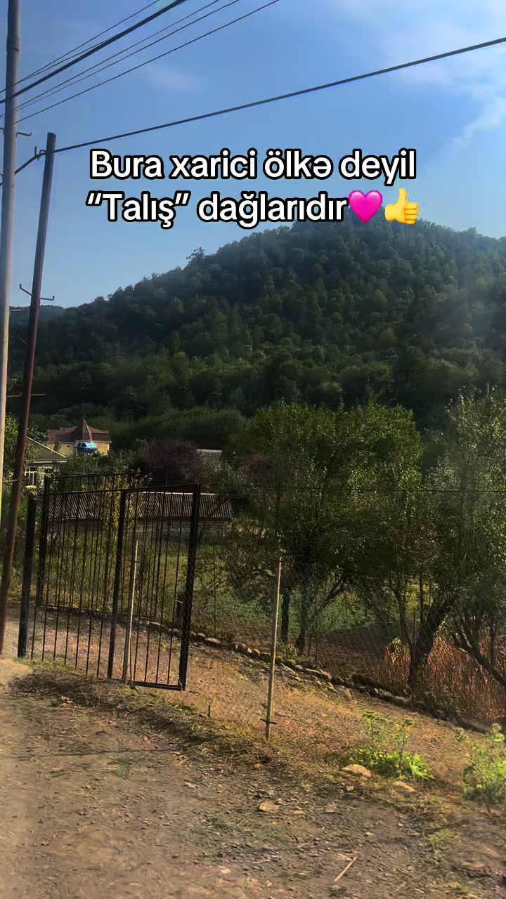 @by___1996