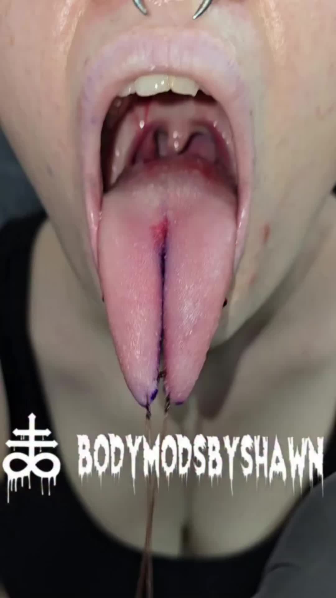 @BodymodsbyShawn