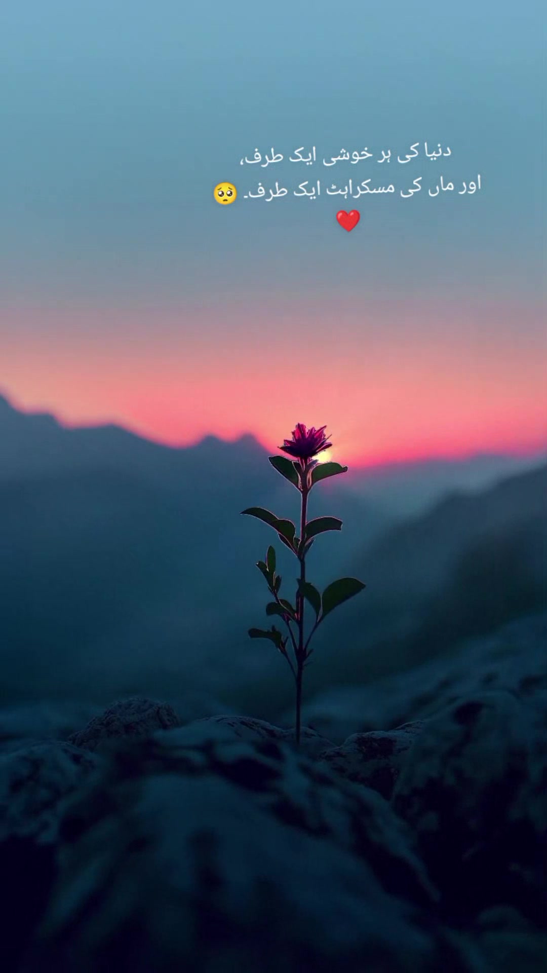 @Farjaad