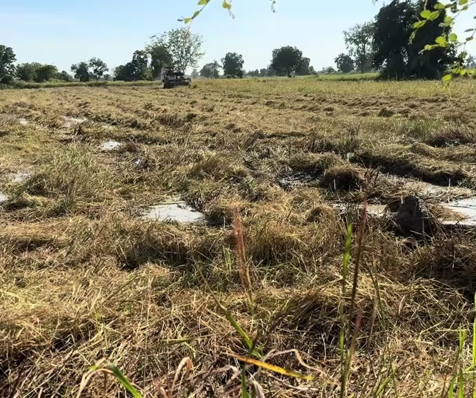 @តៃកុង វ័យក្មេង🌾🚜