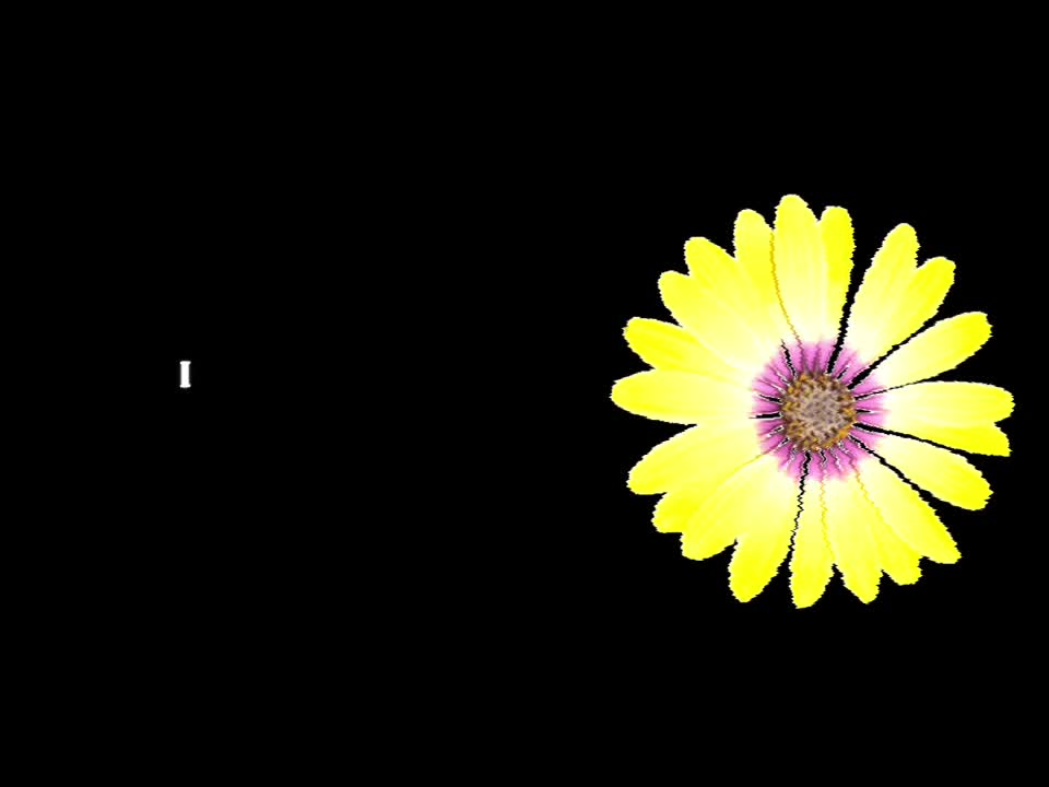 @speed songs | lyrics