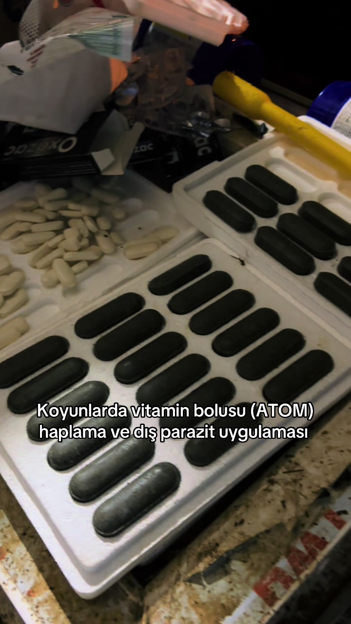 @Özgür AŞAN