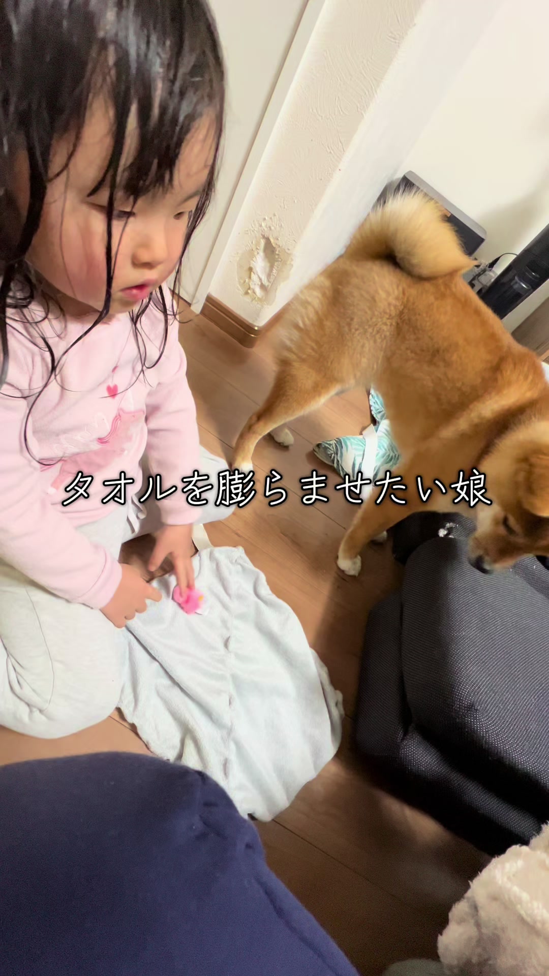 @シャクレ犬