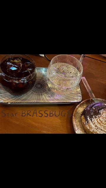 @brassbugs