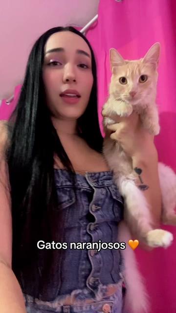 @Paola Torres