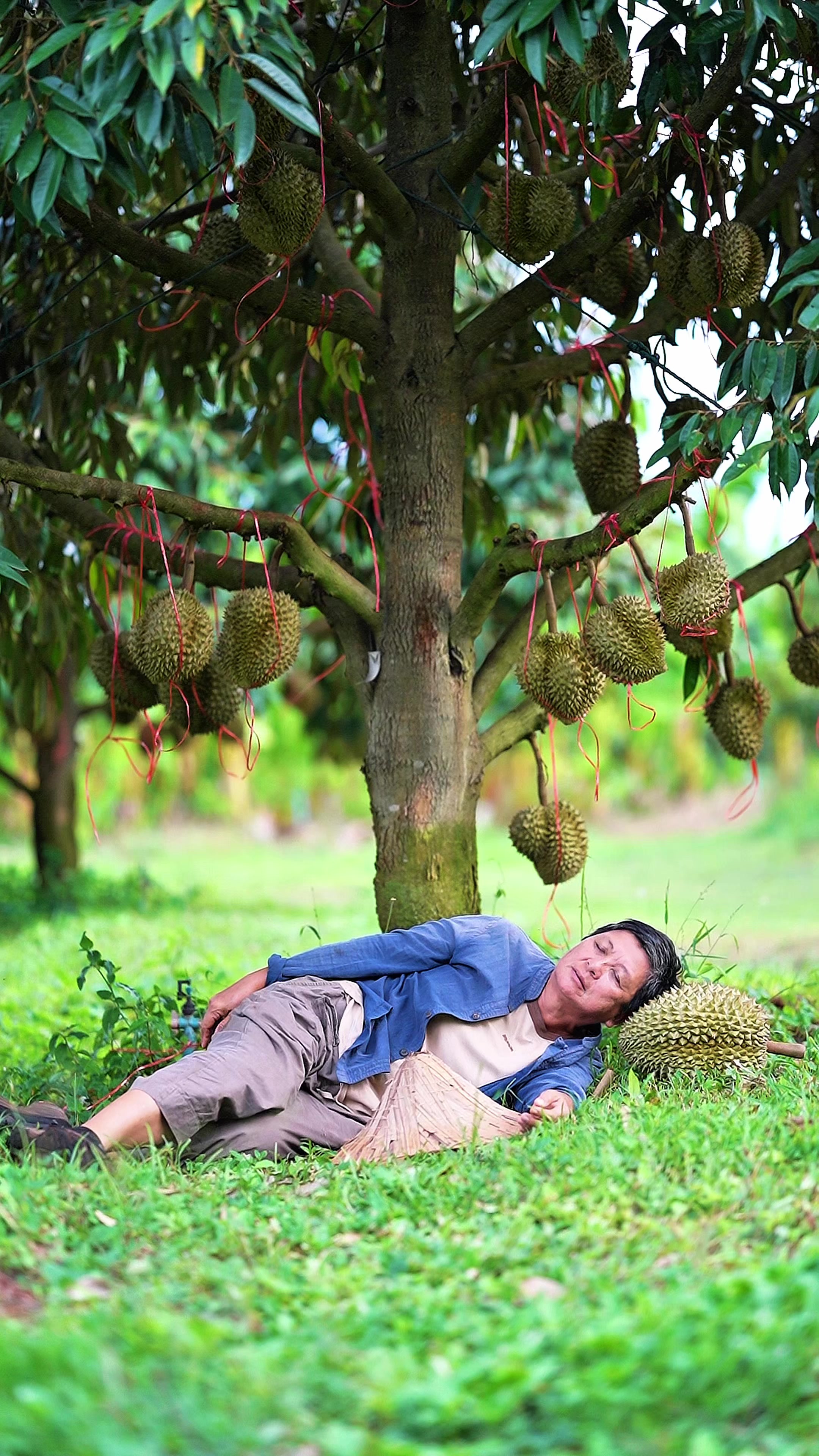 @ไร่วันยังขำ Oneyoungkham farm