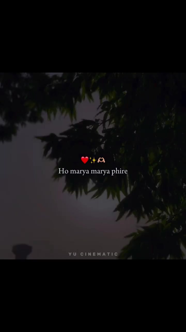 @🕊️