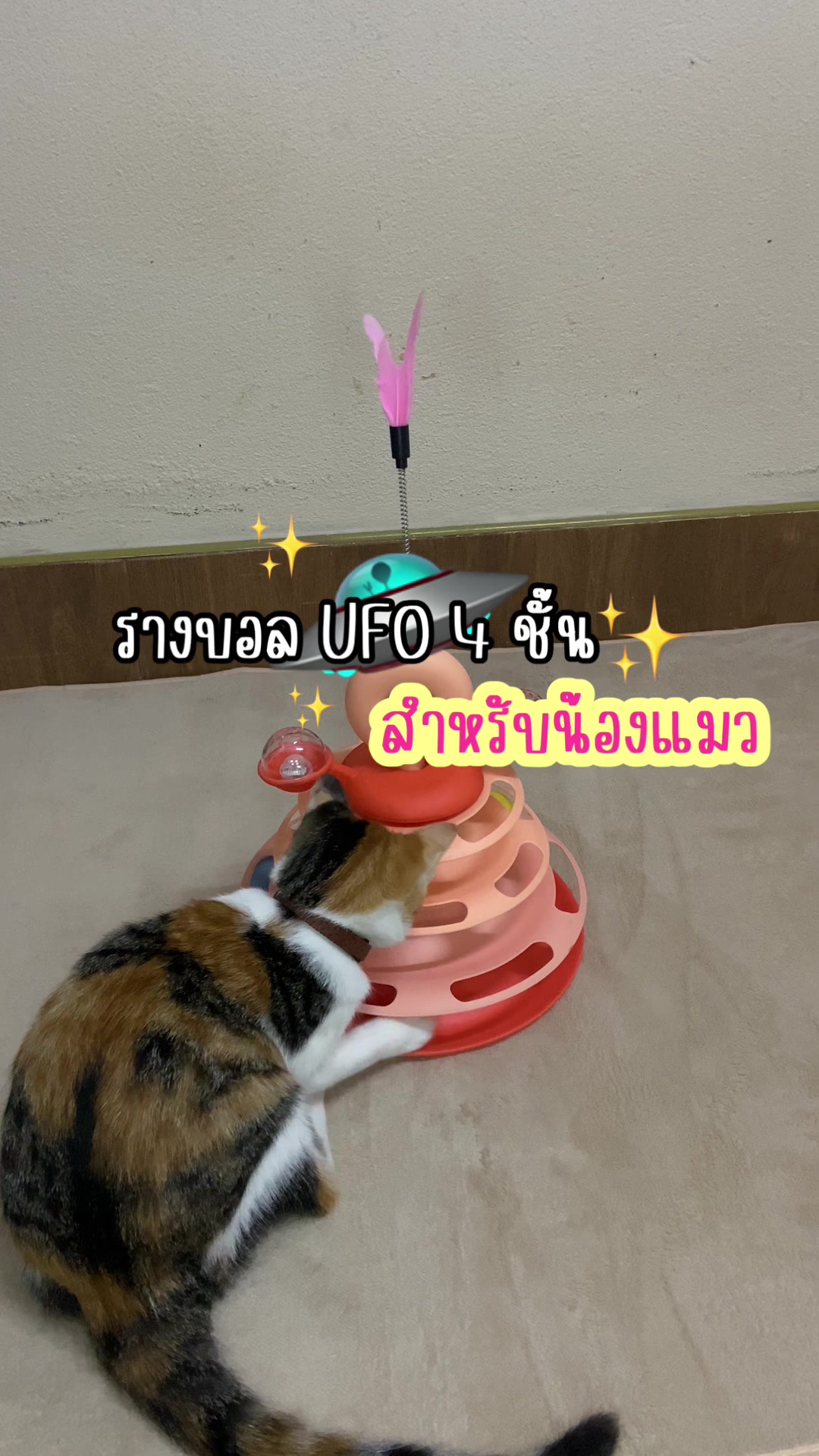@พีชชี่ชอบกินมัทฉะ🍵