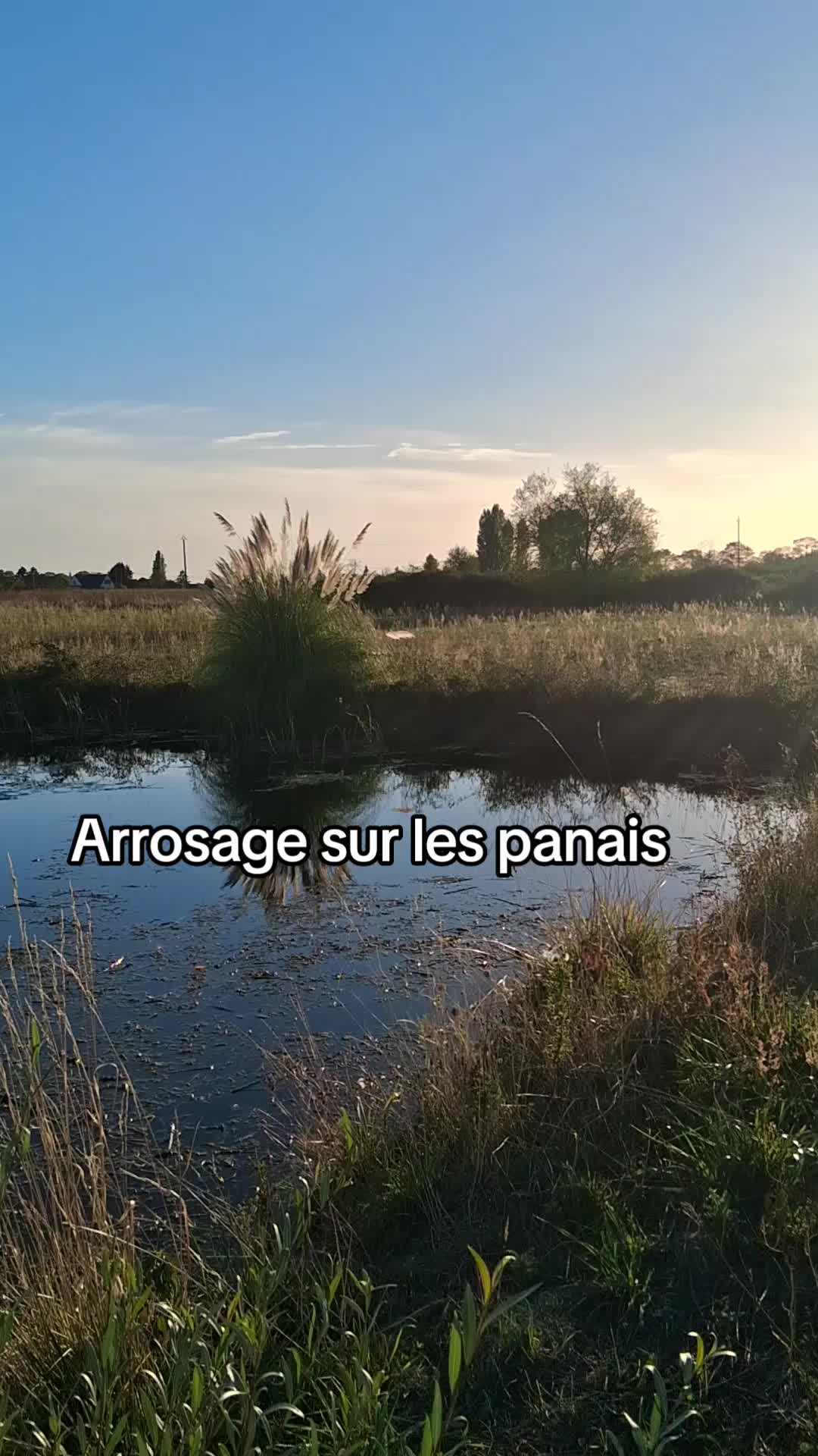 @Marina Caillault
