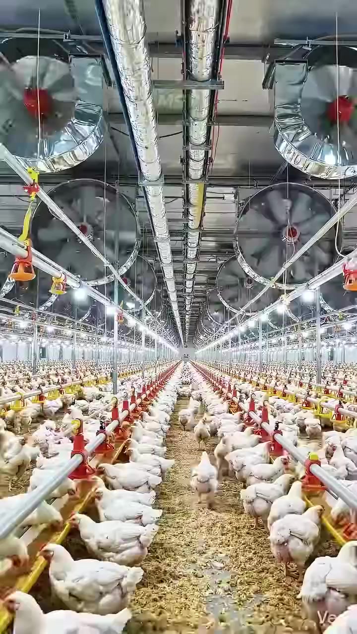 @عٌأّأّأّأشٍقِ أّلَعٌيِّوِوِوِن