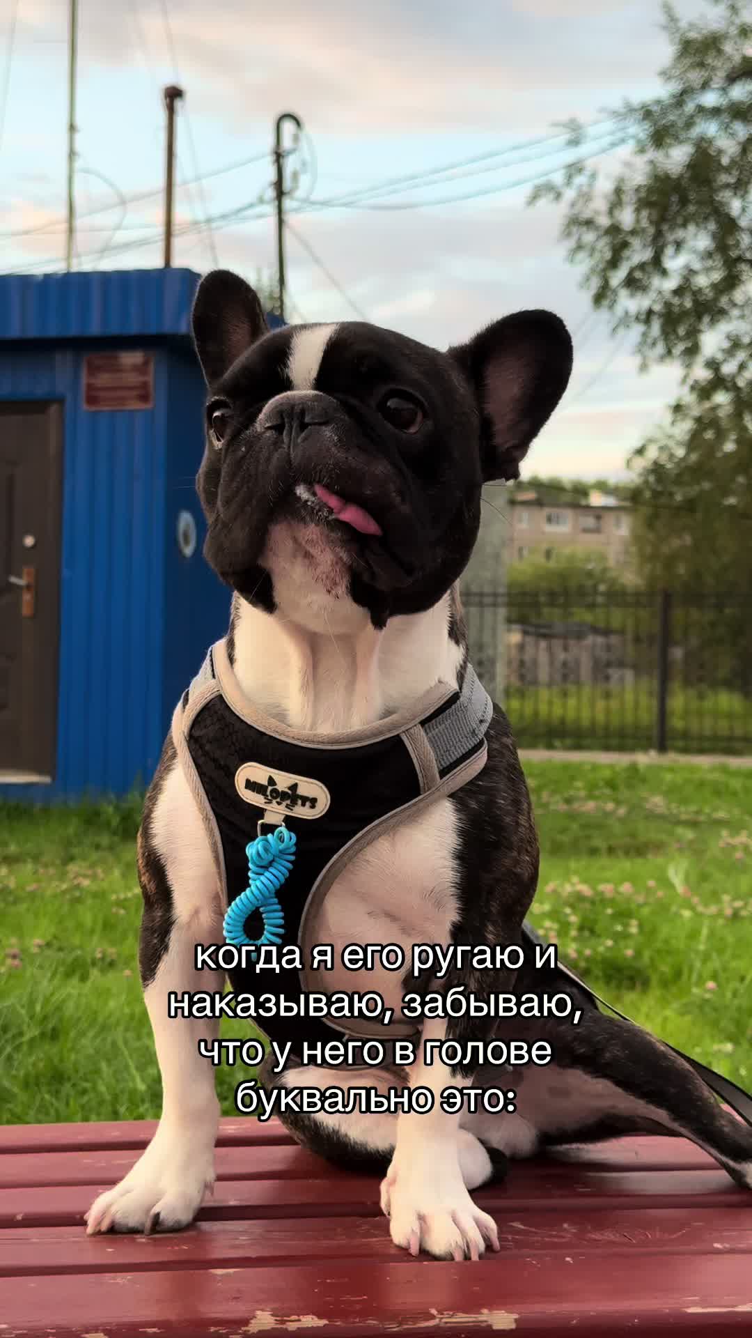 @кекс