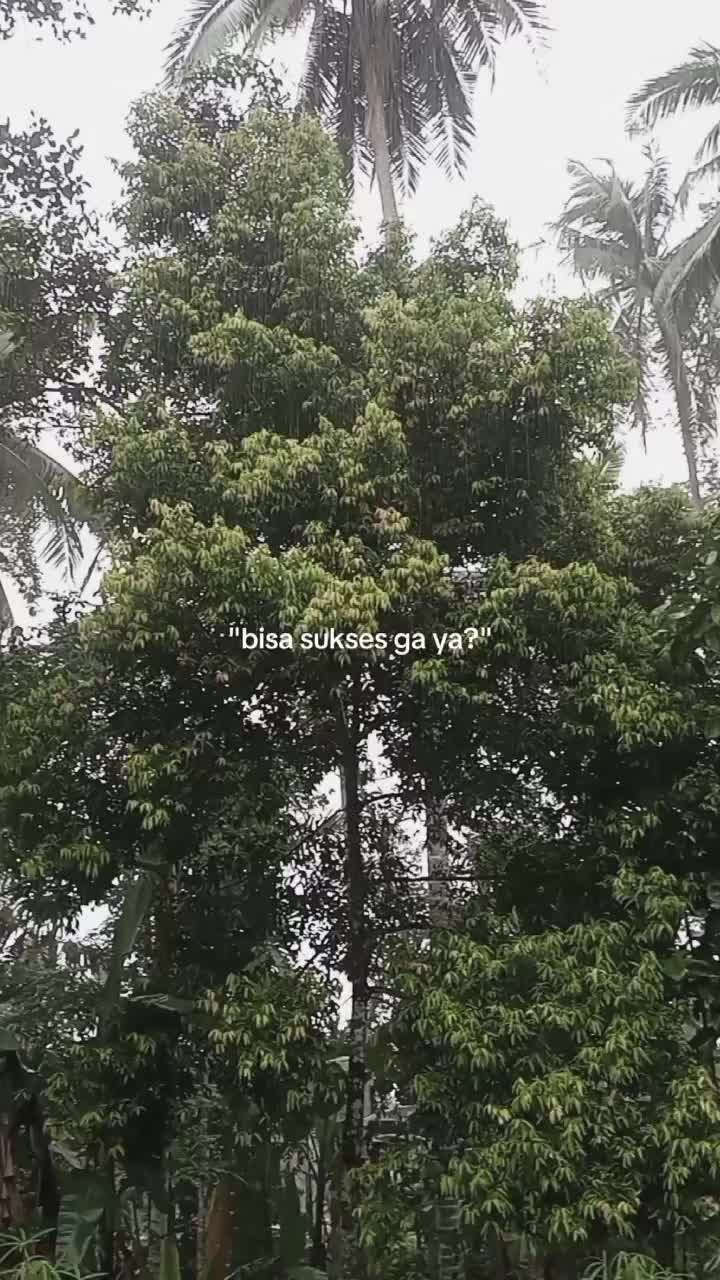 @H S N