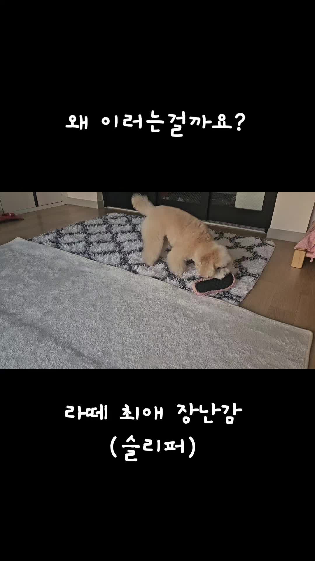 @예쁜라떼