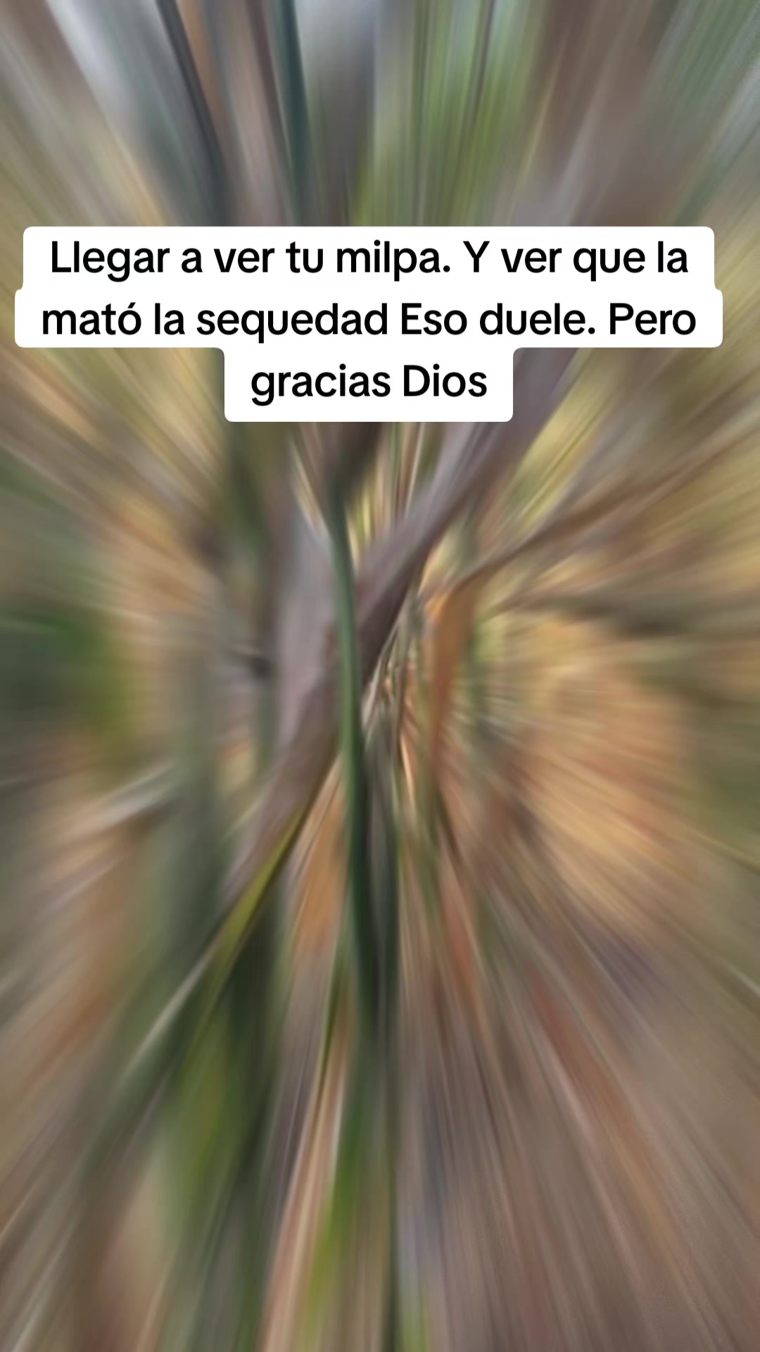 @gilser Diaz