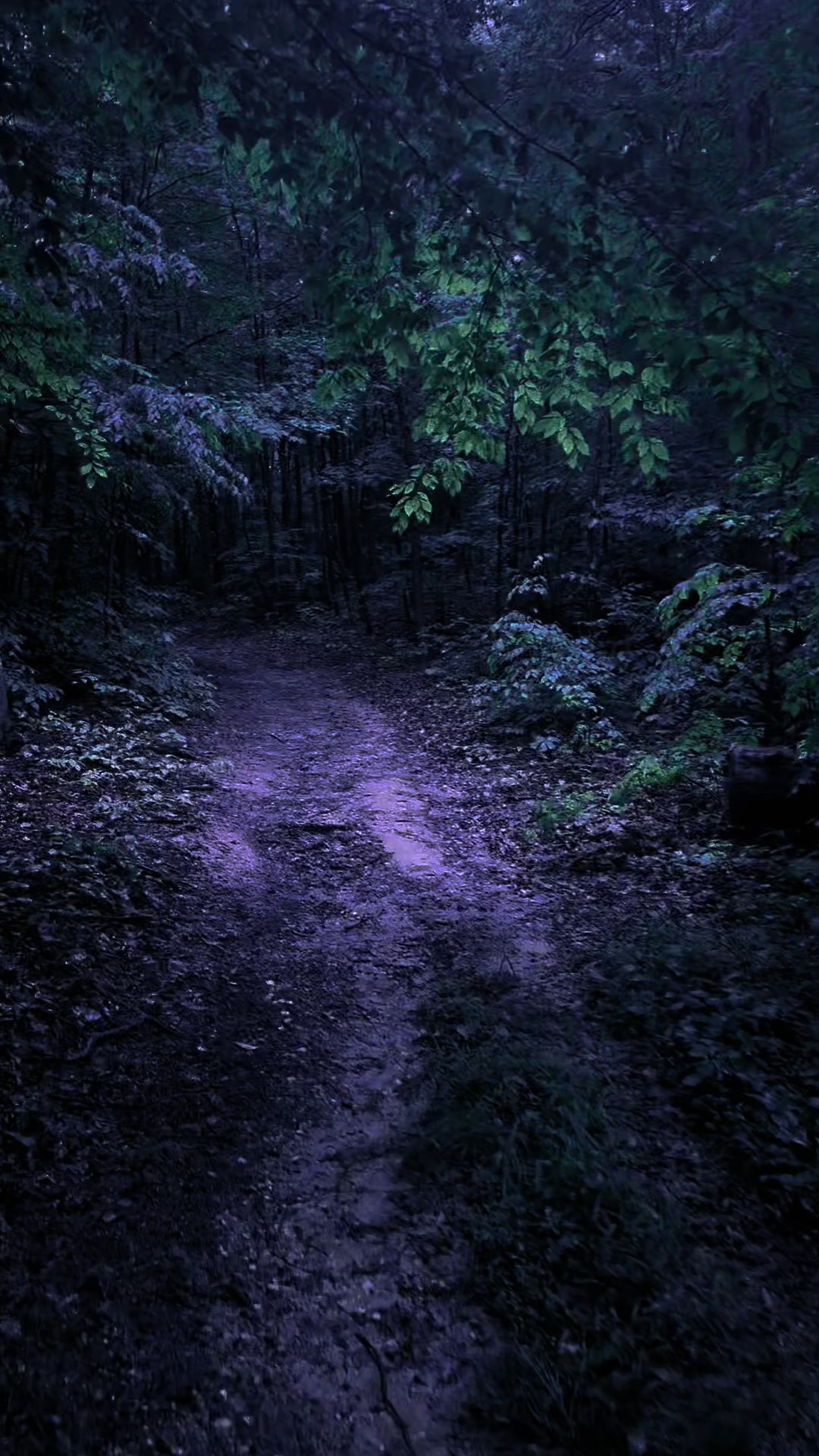 @DarkSpaces