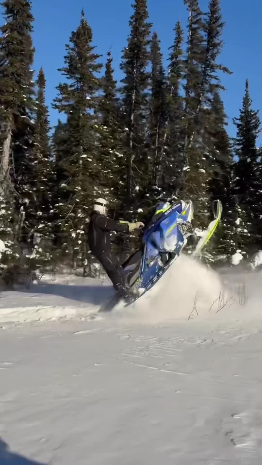 @mattwilliams789