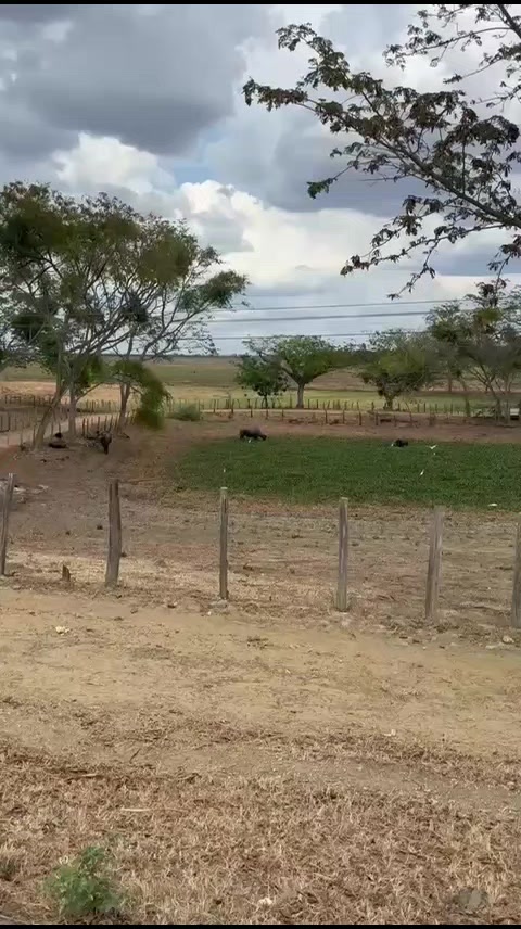 @LlaneritaOficial