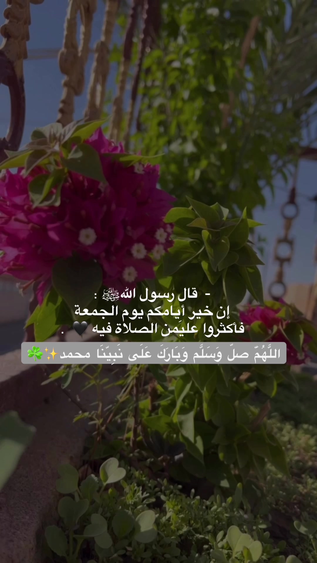 @لحظة الأمل 🫀🤍
