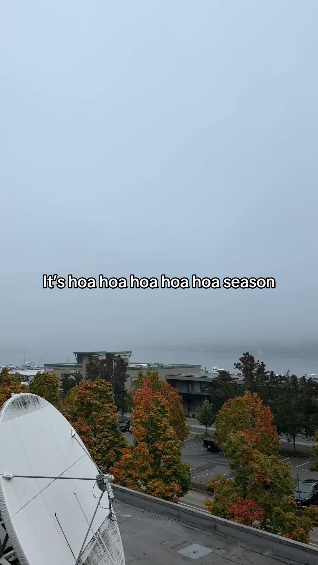 @FOX 13 Seattle