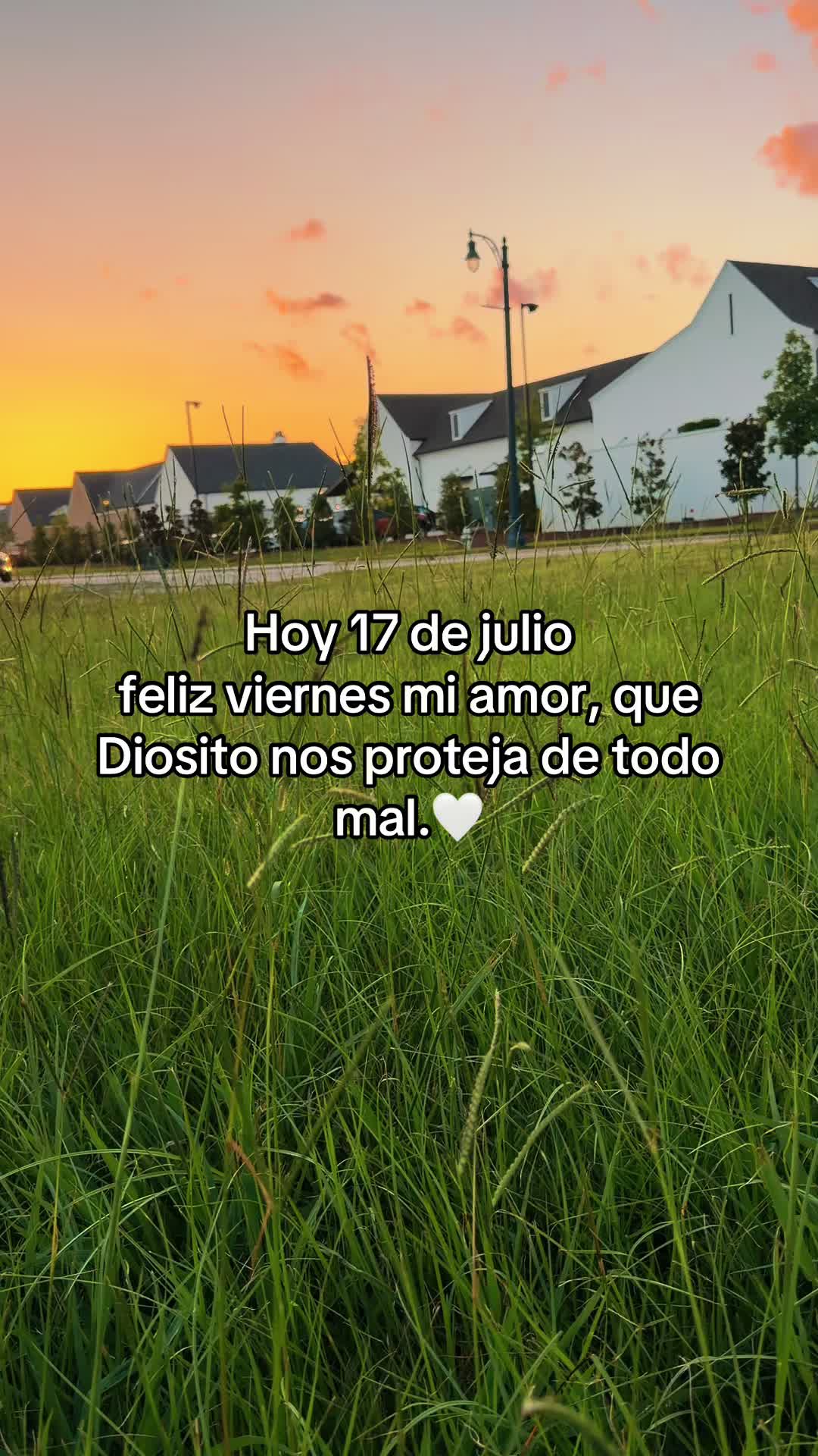 @rolitas502🇬🇹