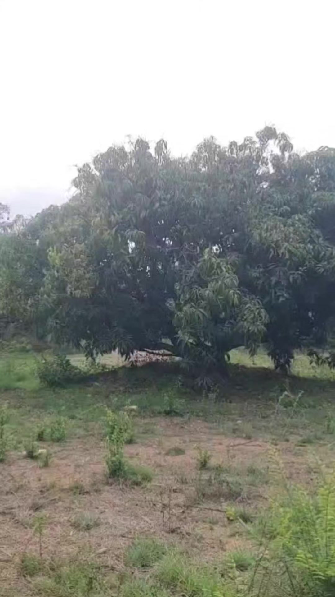 @user3557274670831