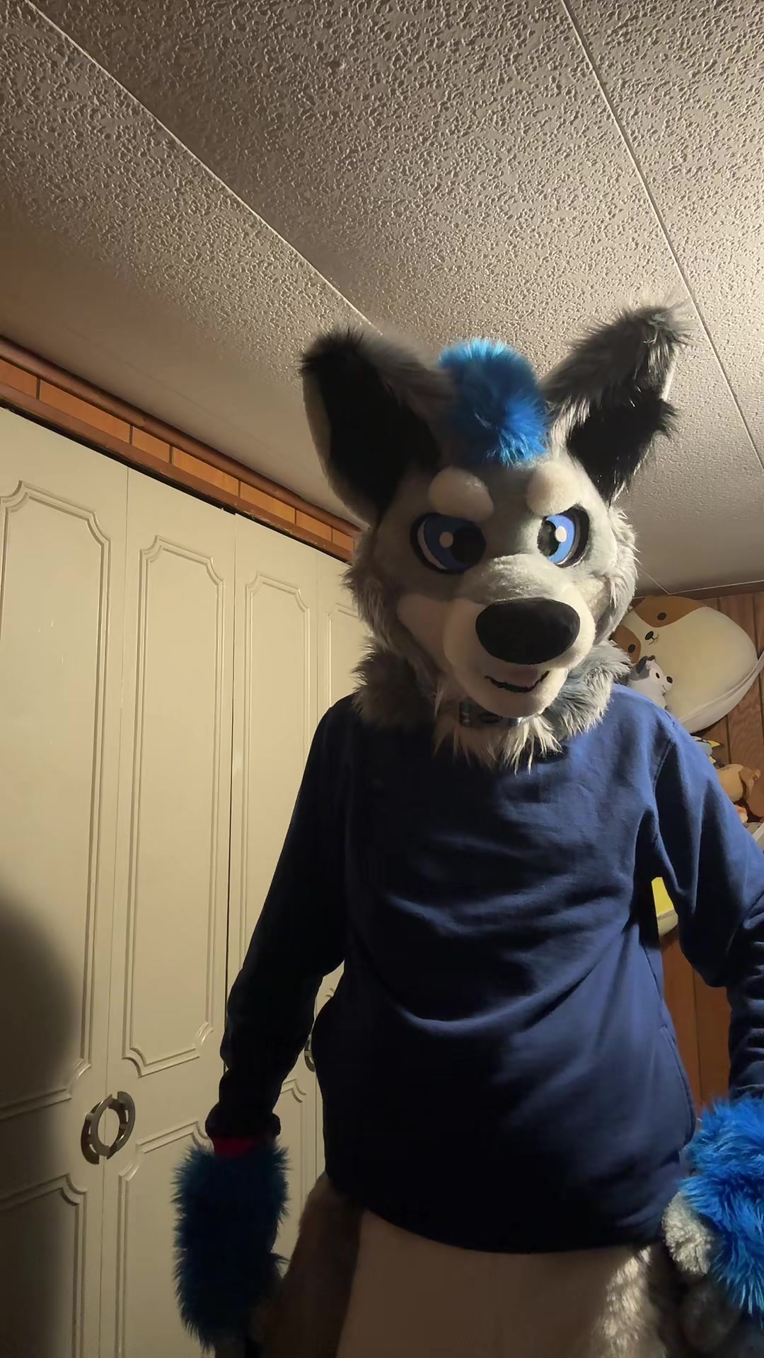 @BlueSilver_Wolf