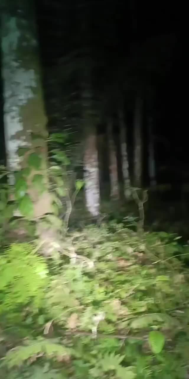 @๐๐๐ง๐๐ซ๐ ๐๐ข๐ฃ๐๐ฒ๐