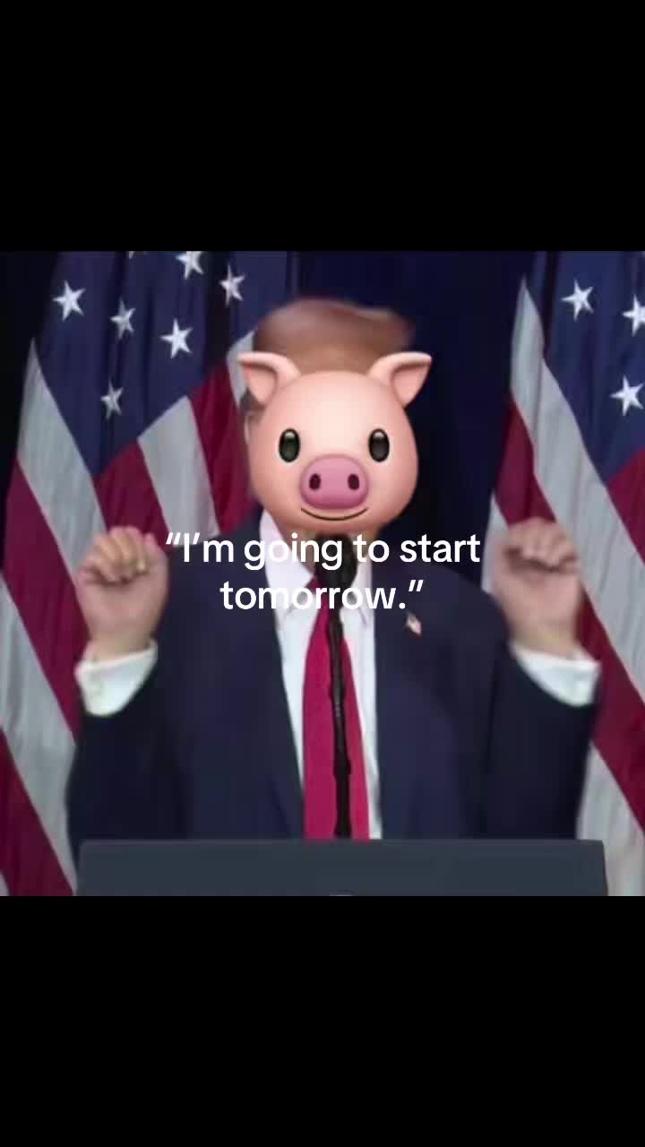 @🪽