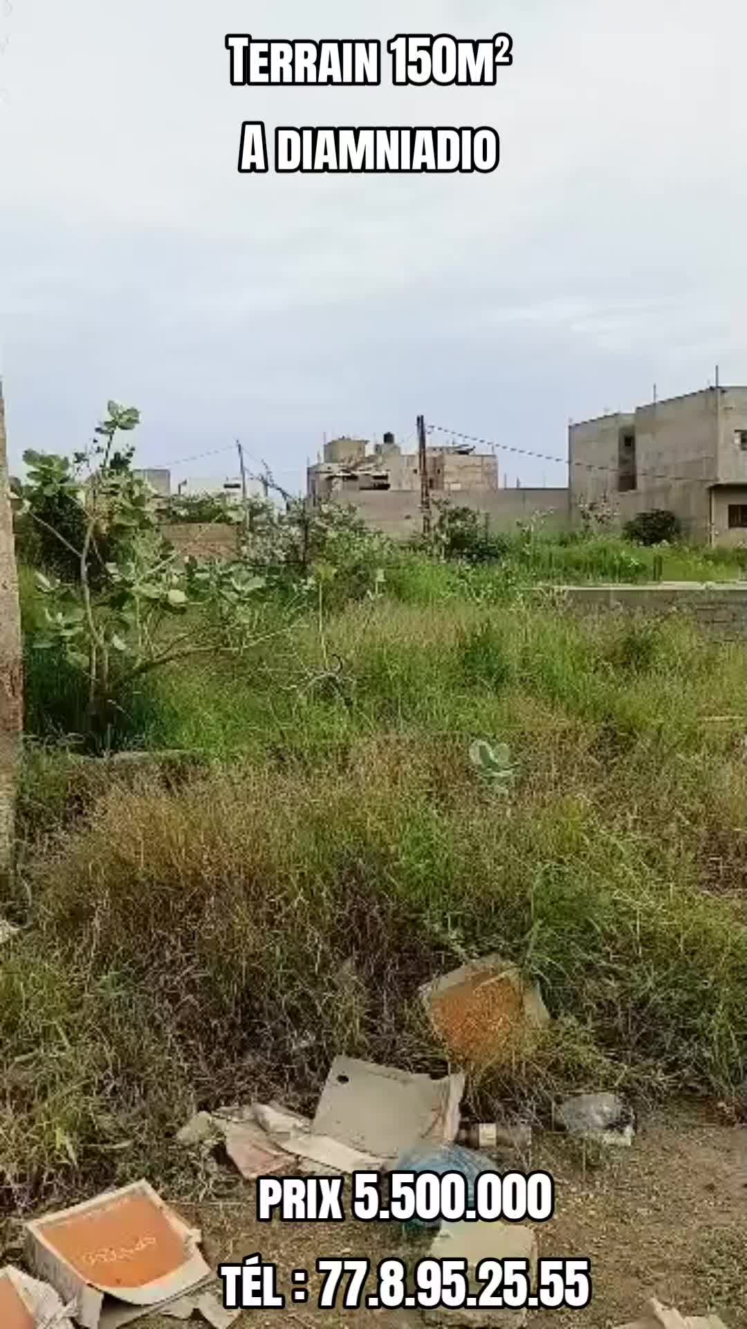 @Sénégal dakar habitat 🇸🇳