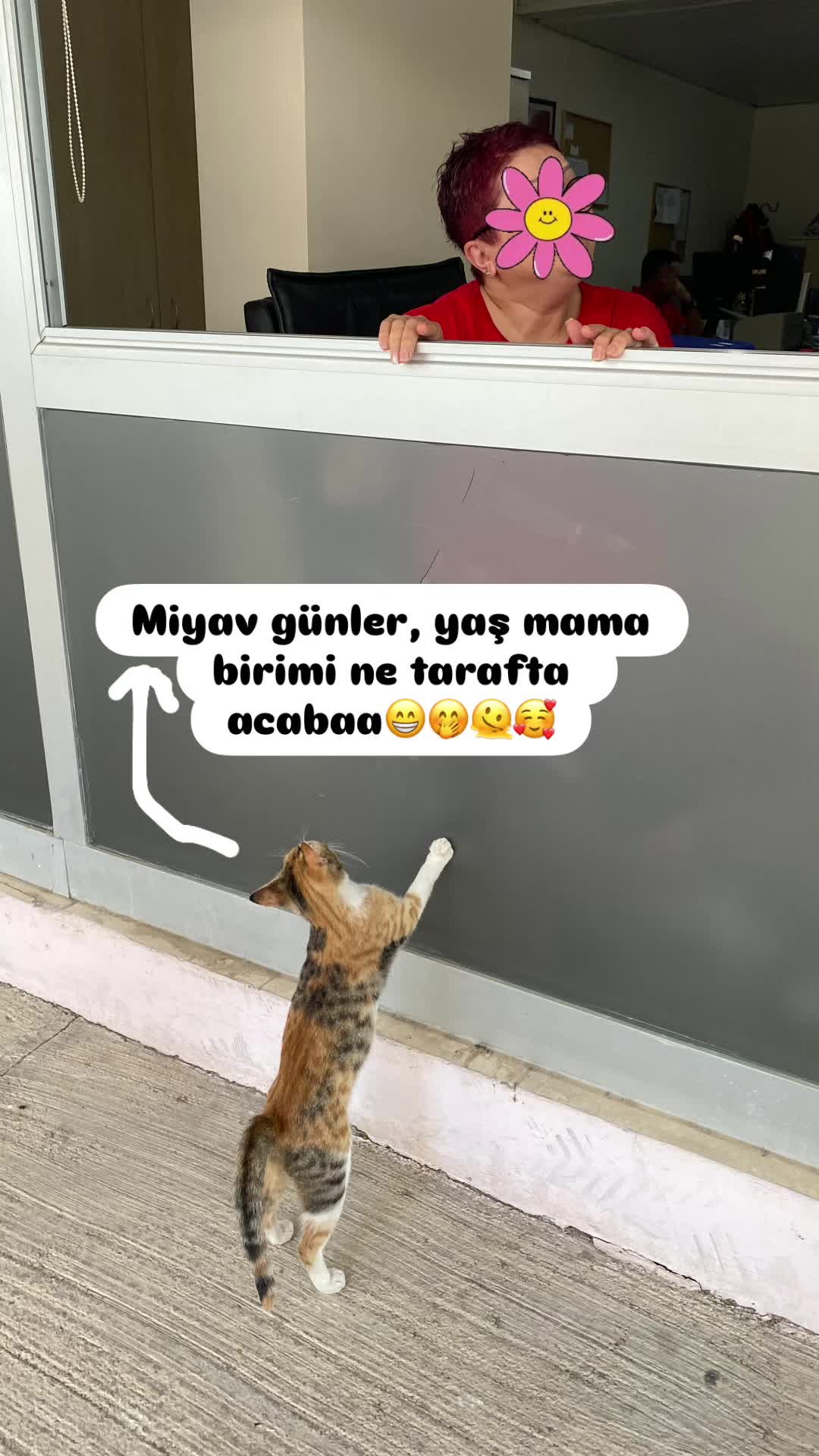 @Şapkalı Kadın