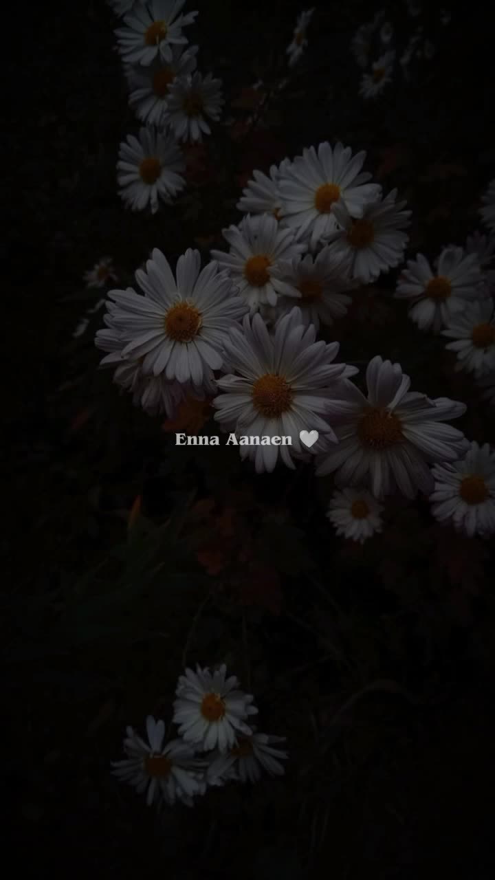 @𝗦𝗛𝗔𝗥𝗠𝗜_𝗘𝗗𝗜𝗧𝗦 🩷