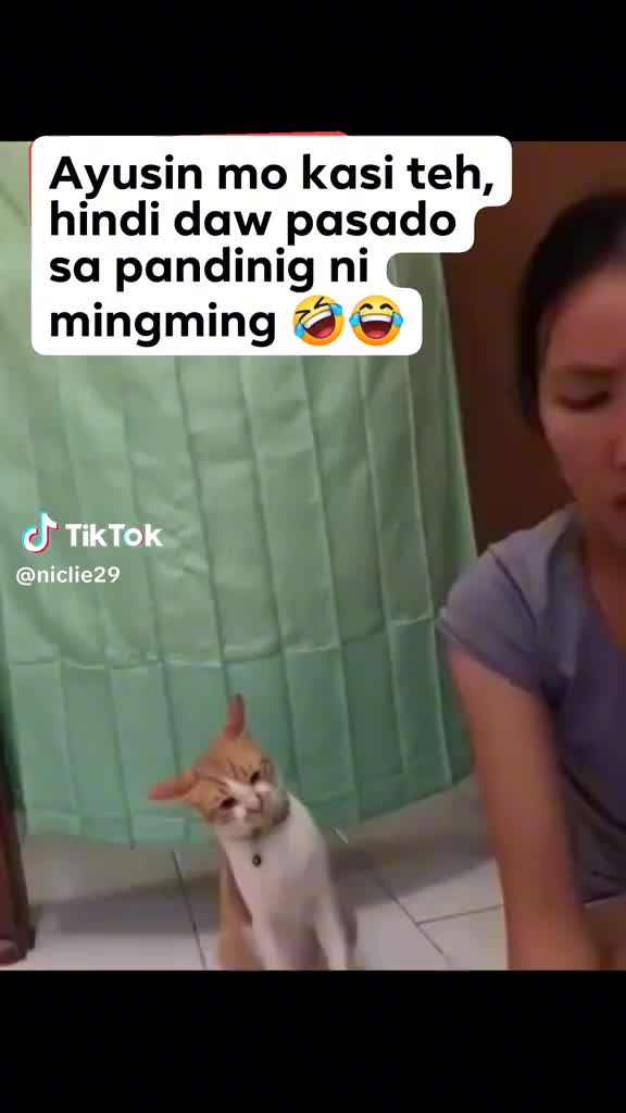 @Arlynbagsakpresyo