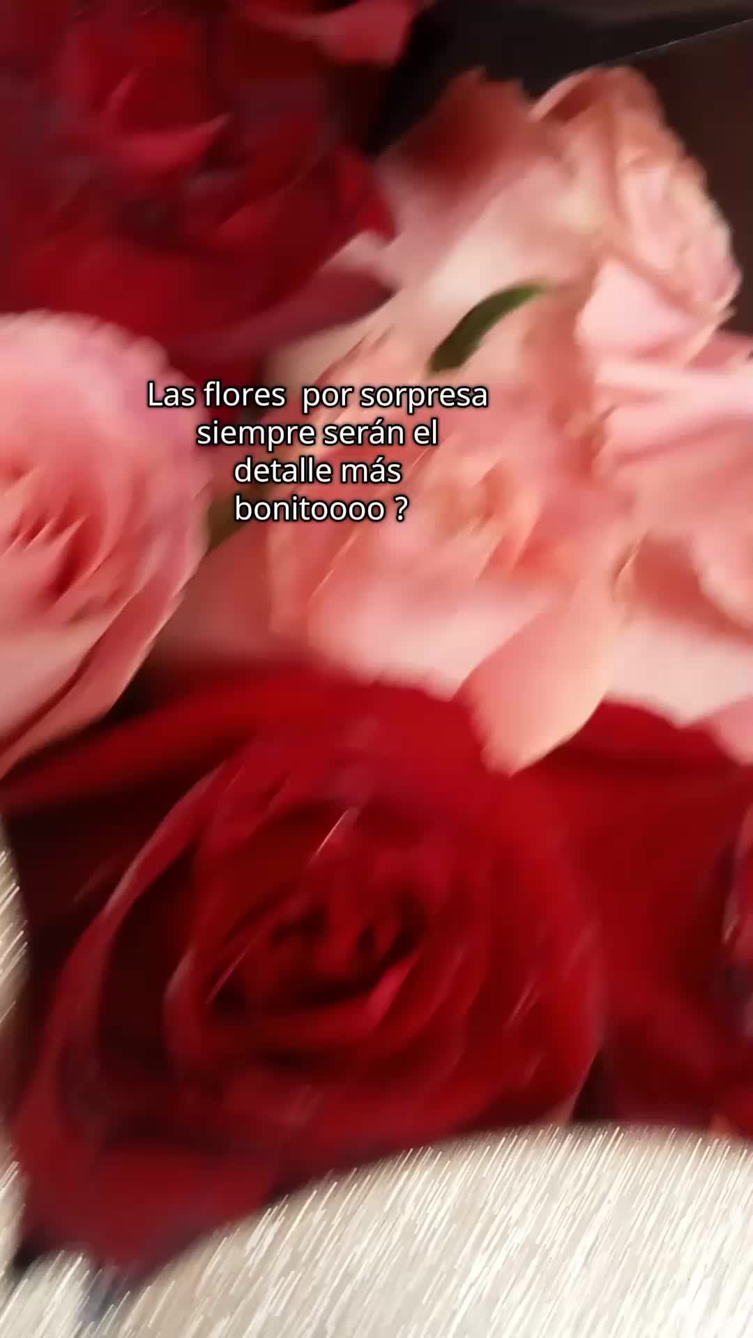 @✨Mariia