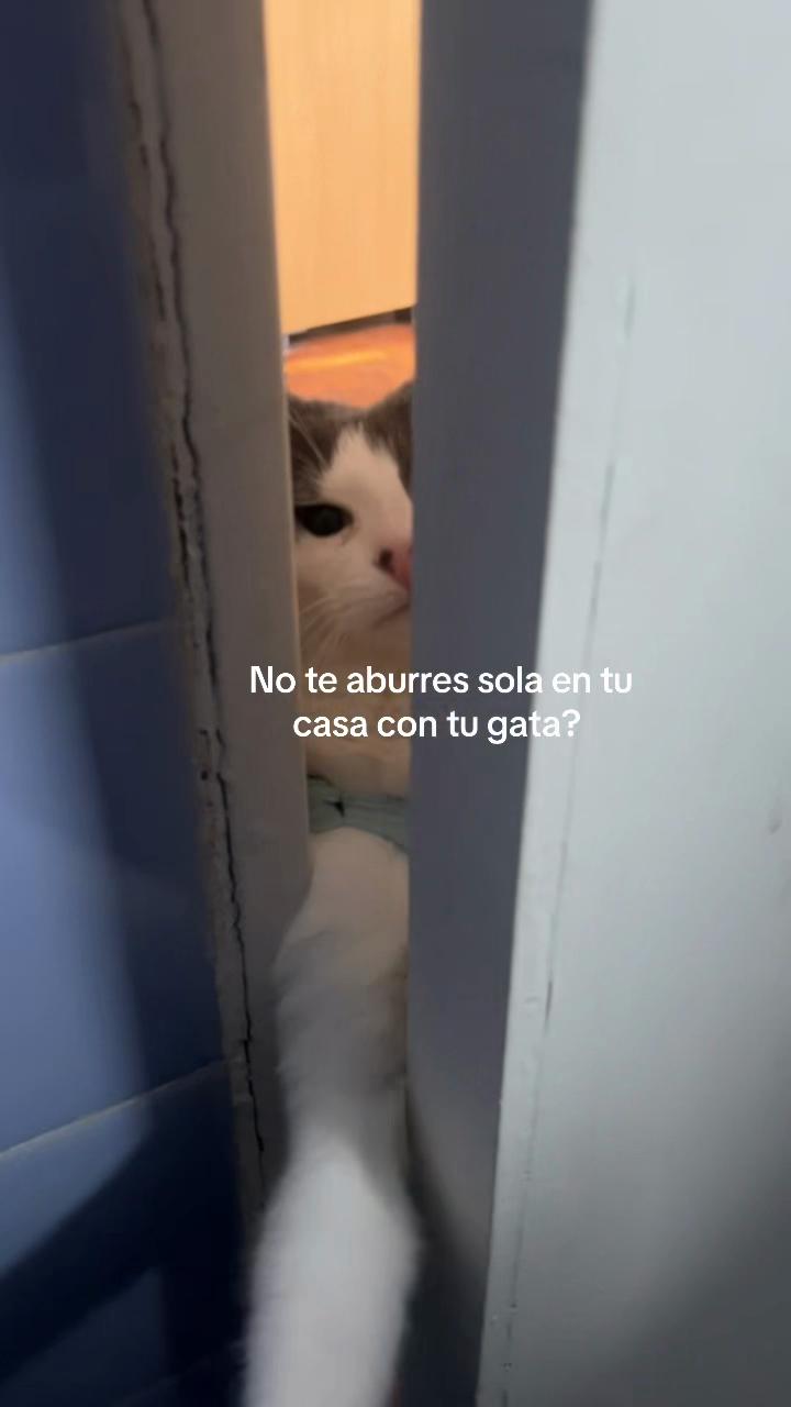 @mayi_monroy