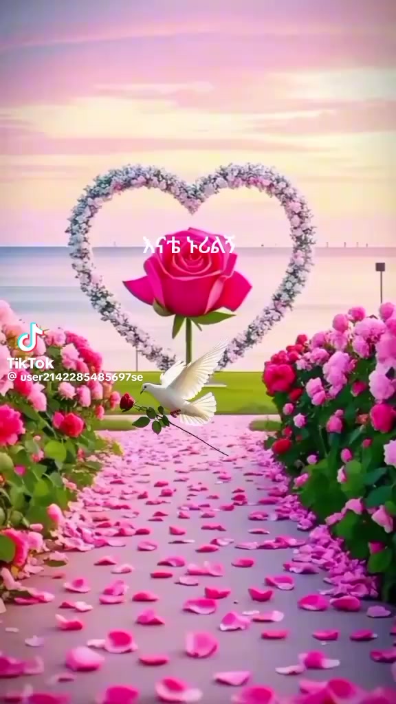 @ሶፍያ.ሰይዴ
