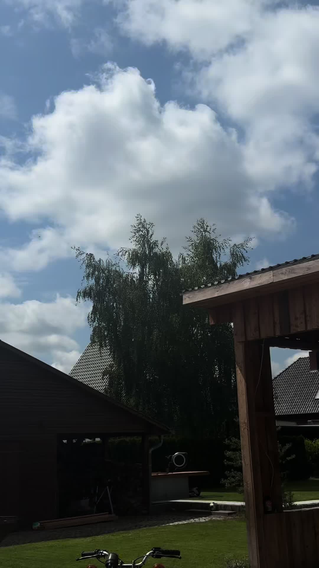 @pepemlr