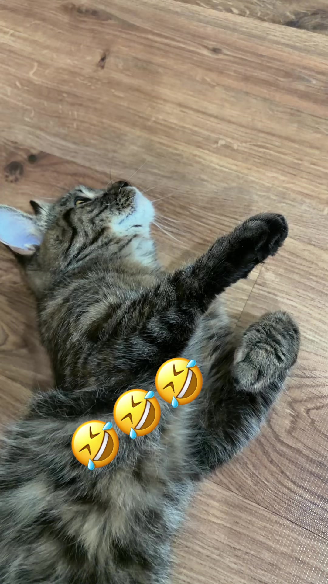 @toksikk87