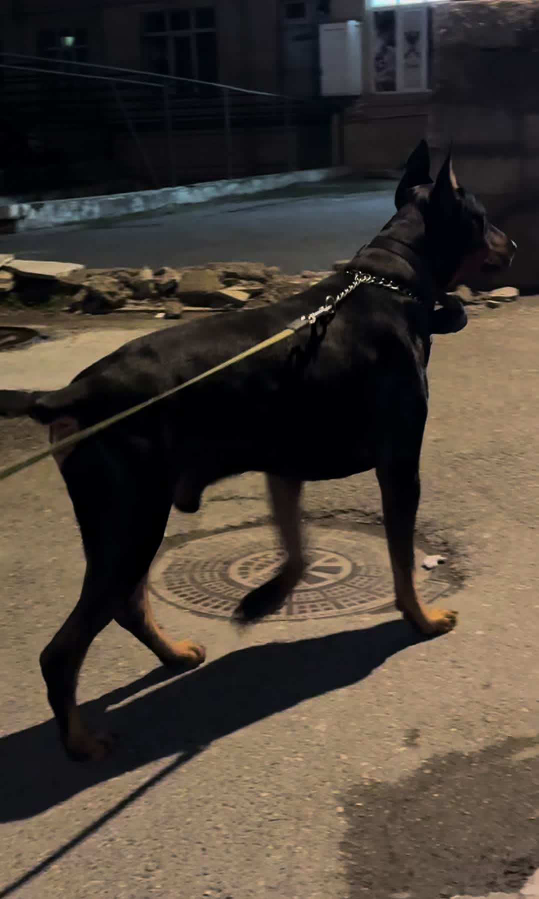 @dobi.baron
