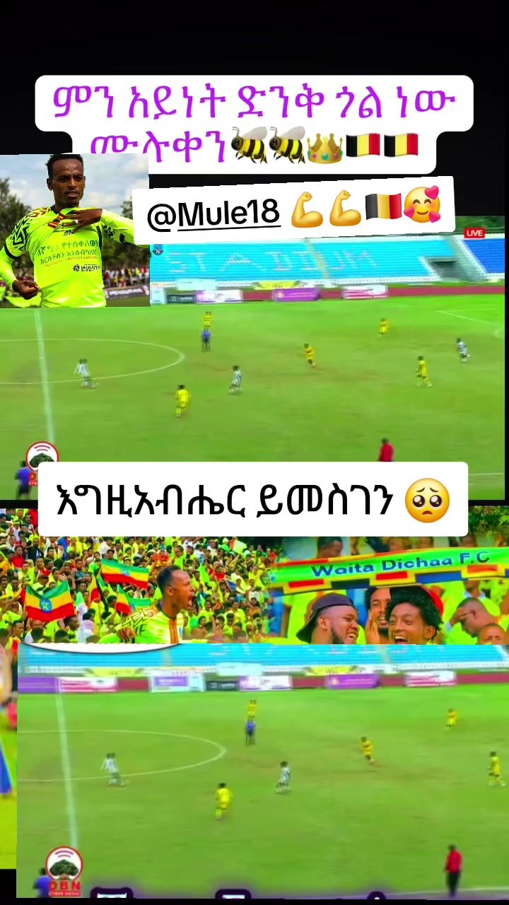 @ቲጂ ታዲዮስ ወጣትነት ለክርስቶስ 💙✝️
