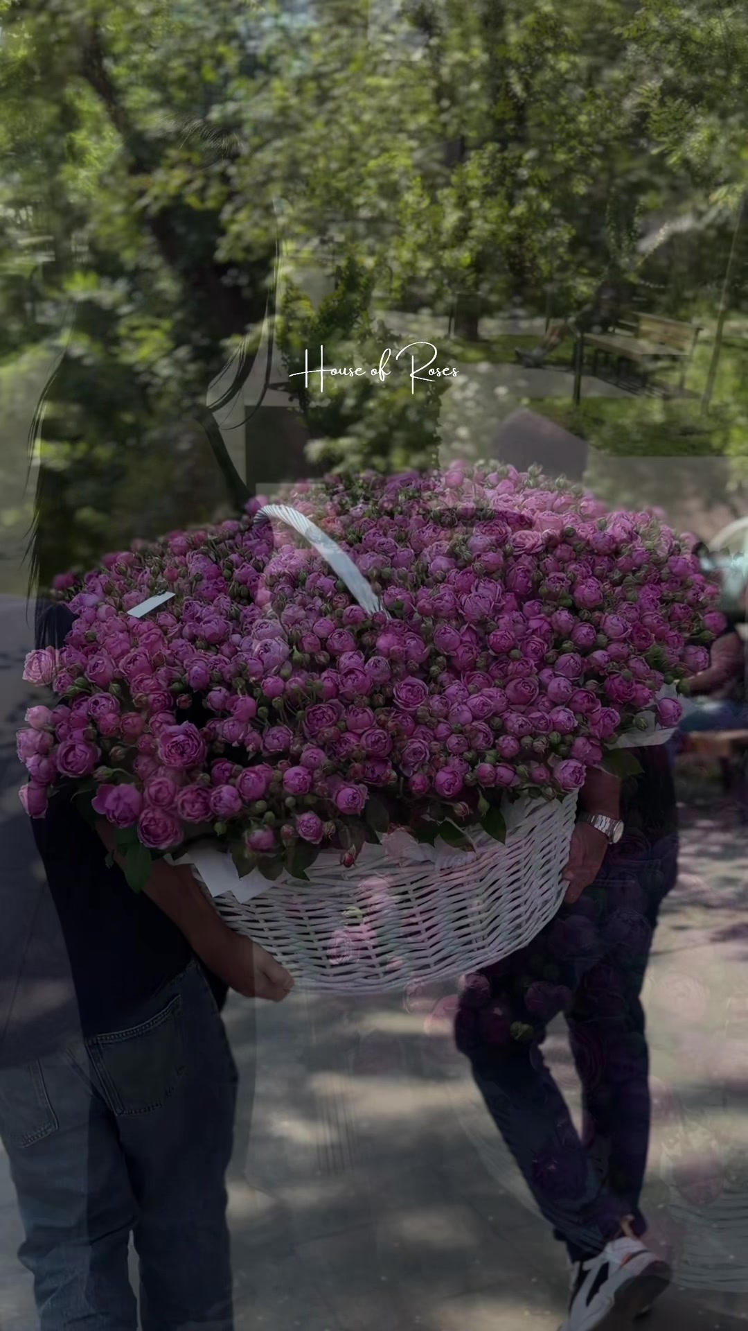 @Թարմ Վարդեր 🌹