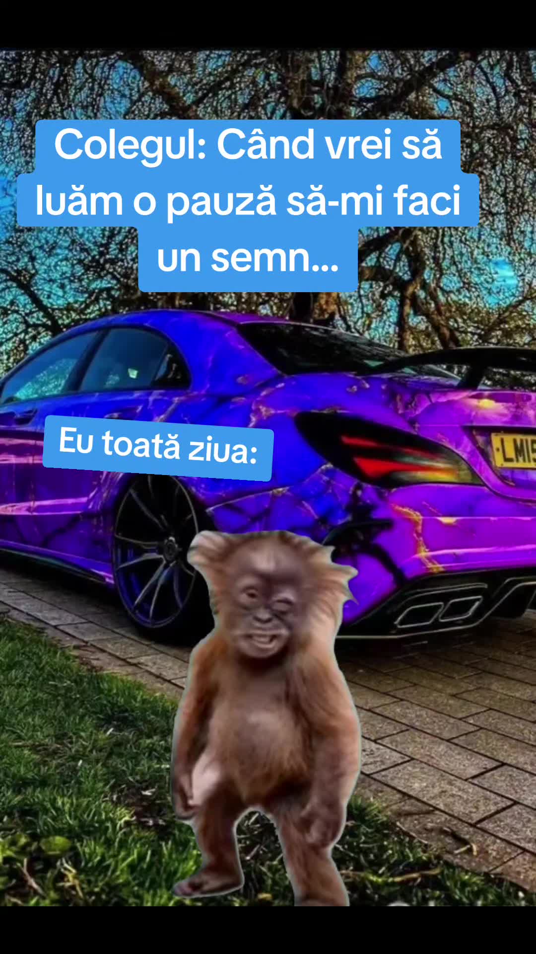 @Dany
