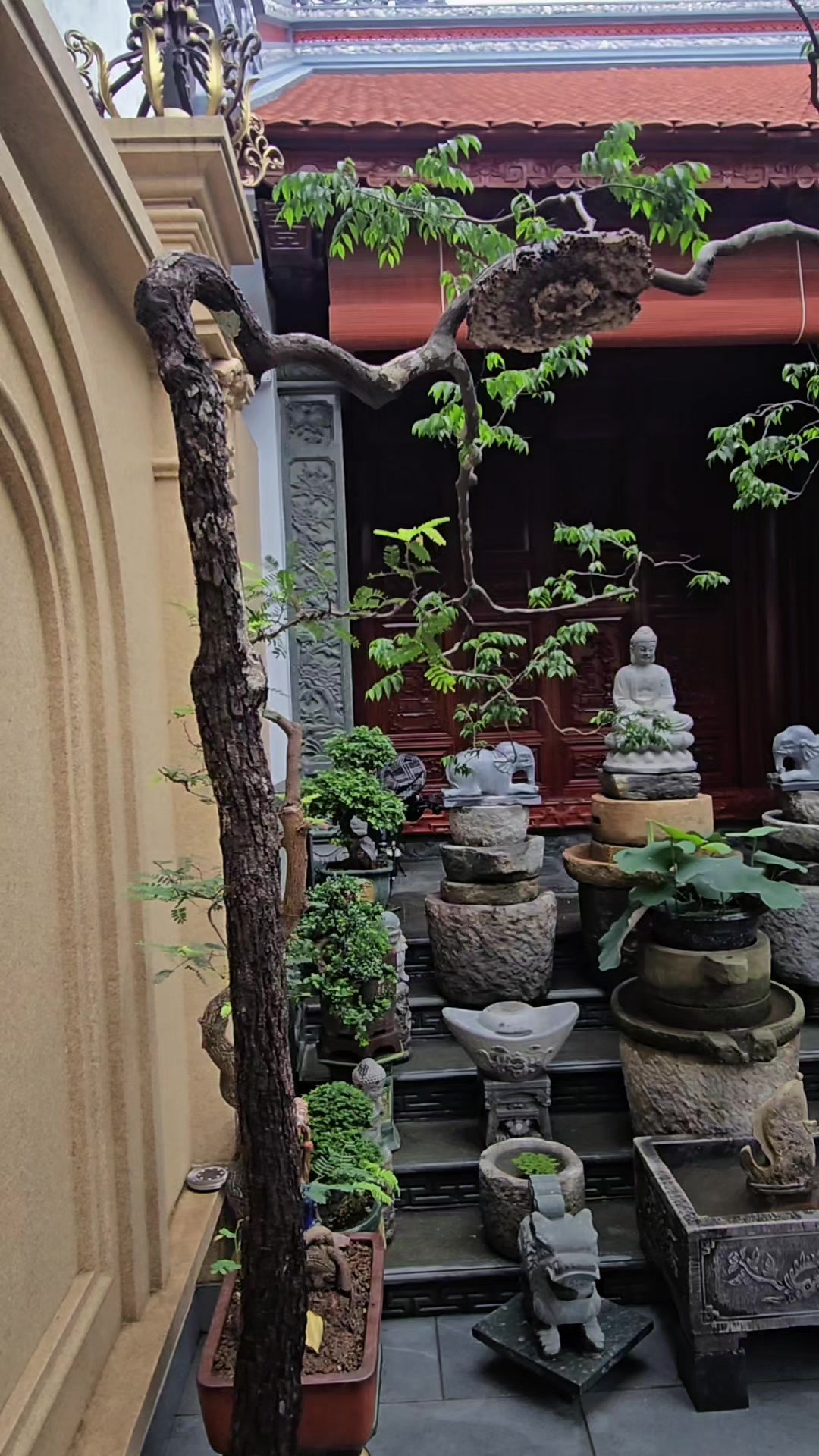 @Đại Dương