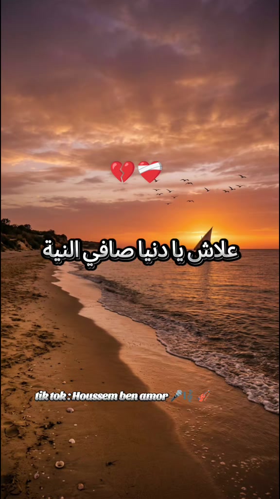 @Houssem Ben Amor ๐ค๐ผ๐ป