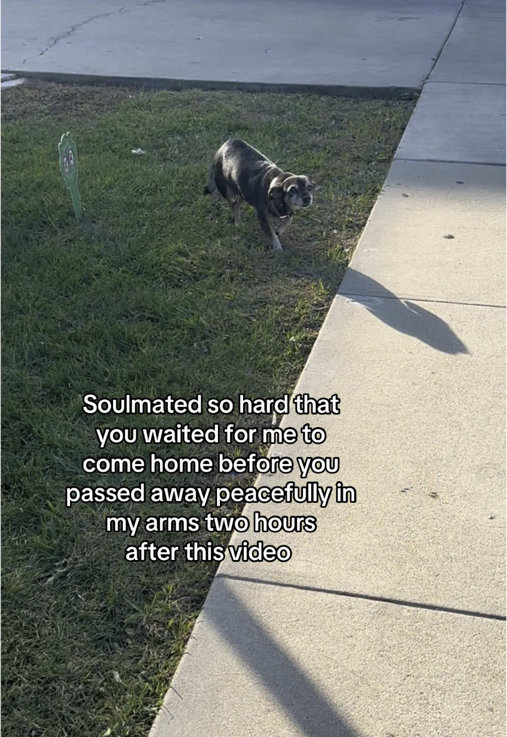 @𝕵𝖆𝖟𝖒𝖎𝖓𝖊 ⛓️🖤