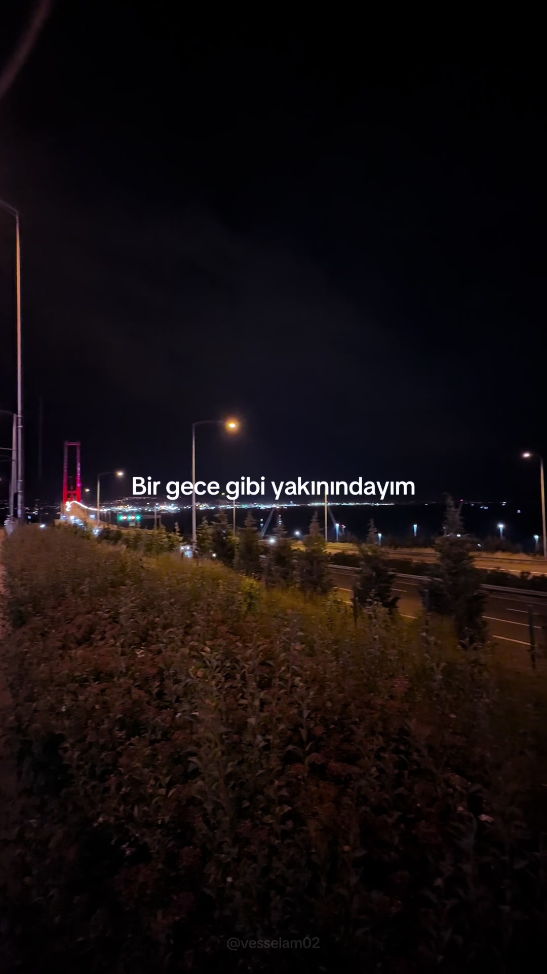 @vesselam02