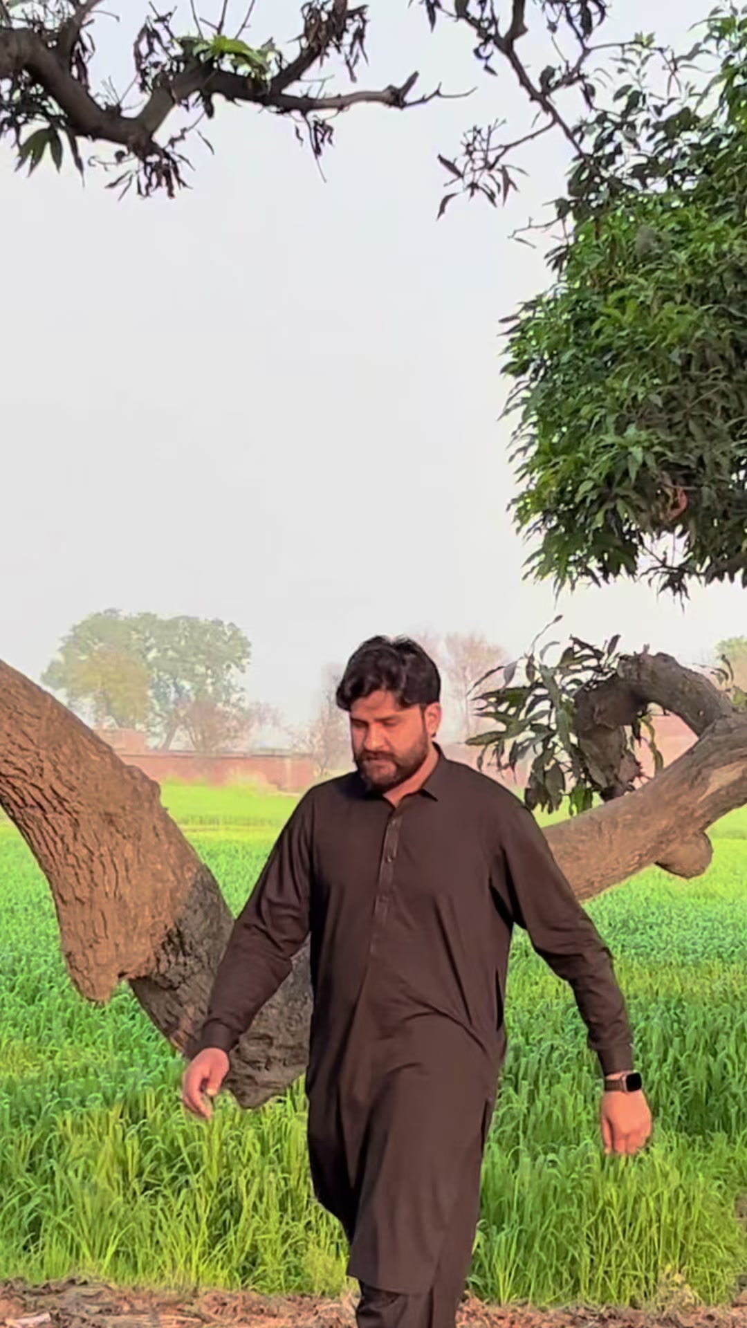 @Ali Bhatti