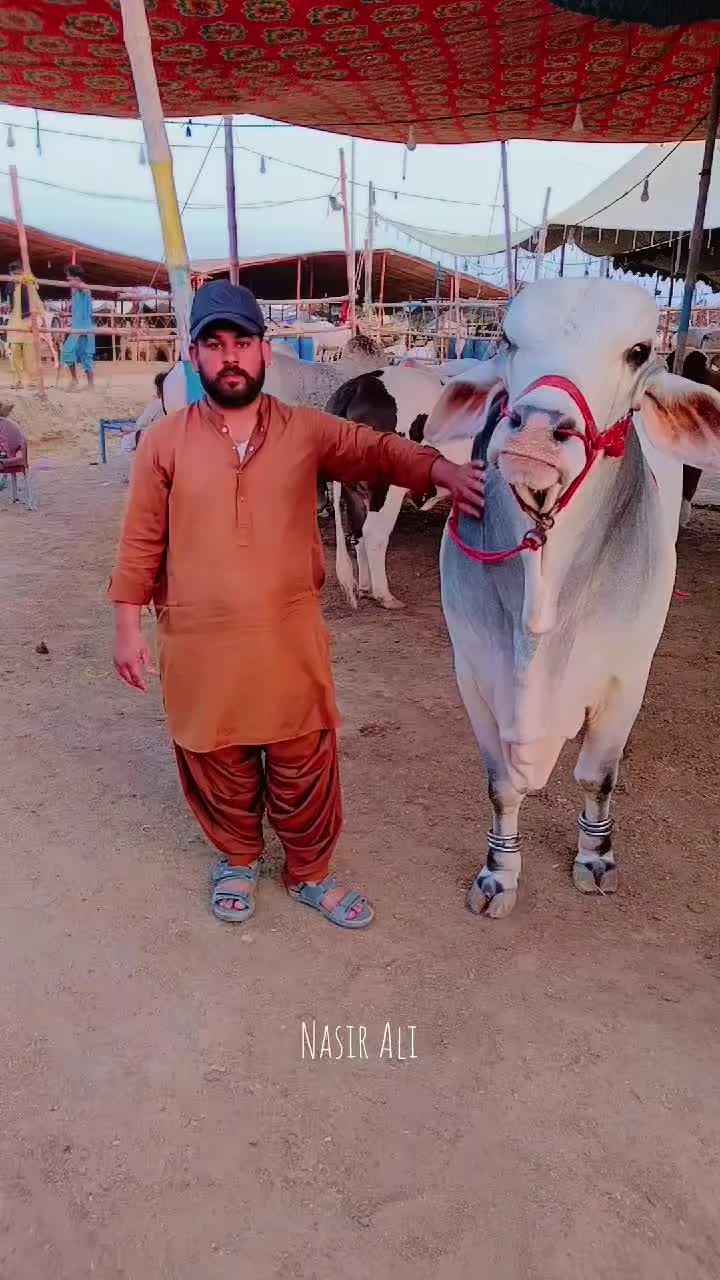 @Nasir Ali